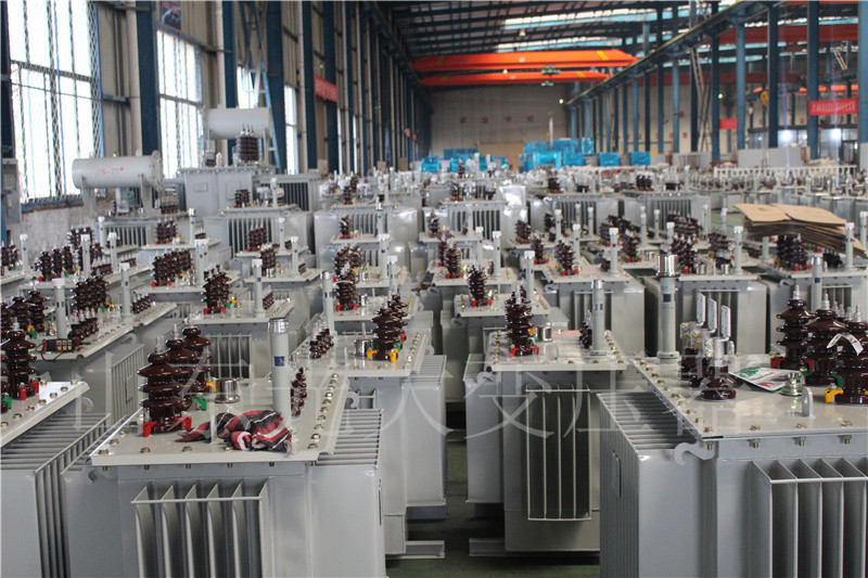 阿城S22-800KVA/10KV